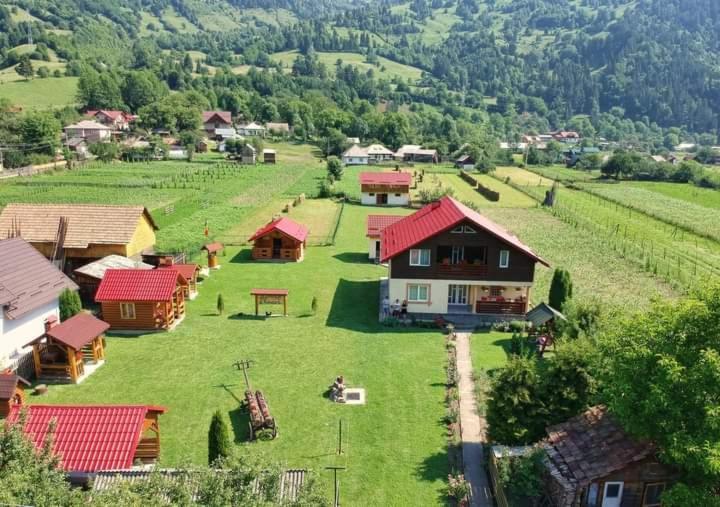 Hotel Casa Prundari Nicu Si Mirela Poiana Teiului Exterior foto