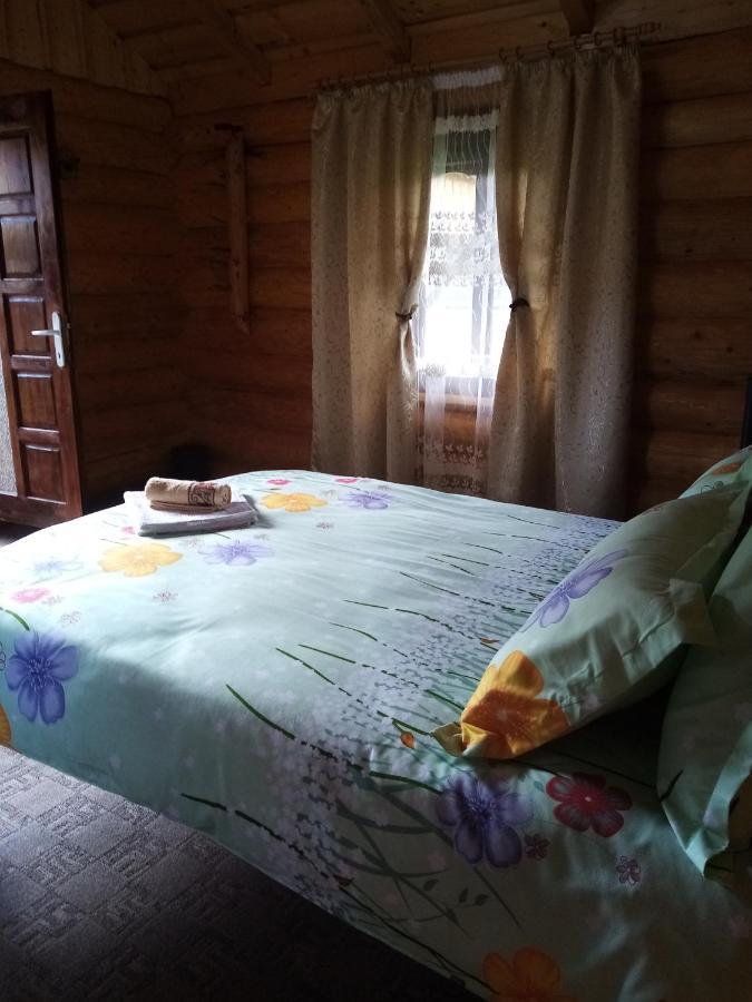 Hotel Casa Prundari Nicu Si Mirela Poiana Teiului Exterior foto