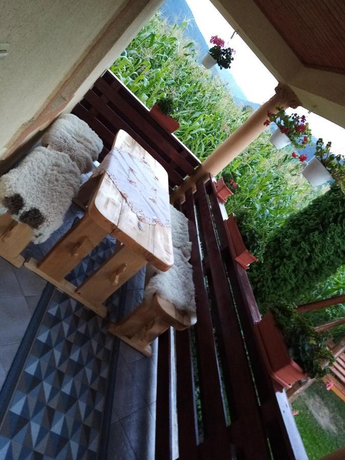 Hotel Casa Prundari Nicu Si Mirela Poiana Teiului Exterior foto