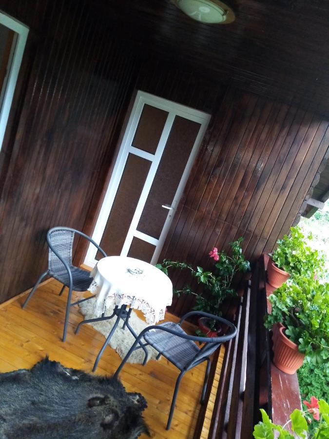Hotel Casa Prundari Nicu Si Mirela Poiana Teiului Exterior foto