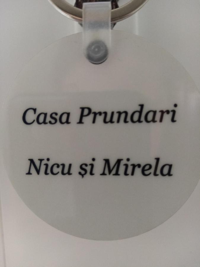 Hotel Casa Prundari Nicu Si Mirela Poiana Teiului Exterior foto