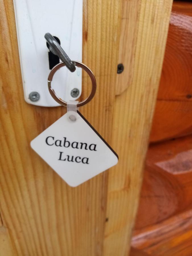 Hotel Casa Prundari Nicu Si Mirela Poiana Teiului Exterior foto