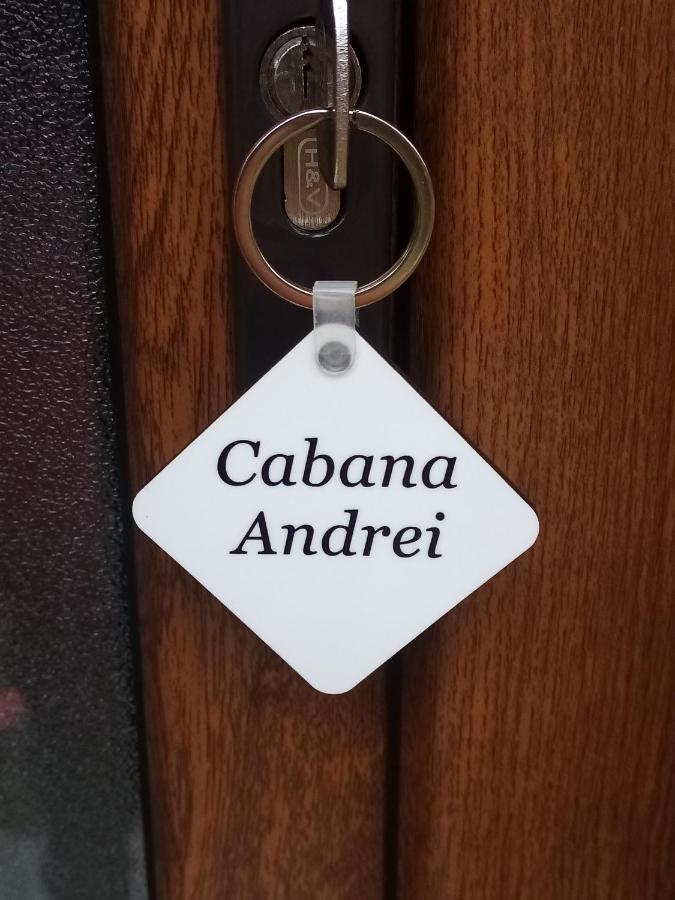 Hotel Casa Prundari Nicu Si Mirela Poiana Teiului Exterior foto