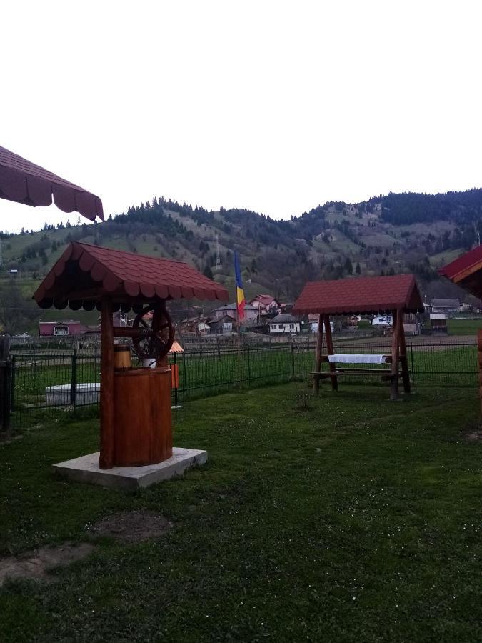 Hotel Casa Prundari Nicu Si Mirela Poiana Teiului Exterior foto