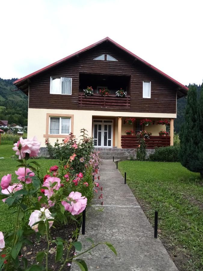 Hotel Casa Prundari Nicu Si Mirela Poiana Teiului Exterior foto