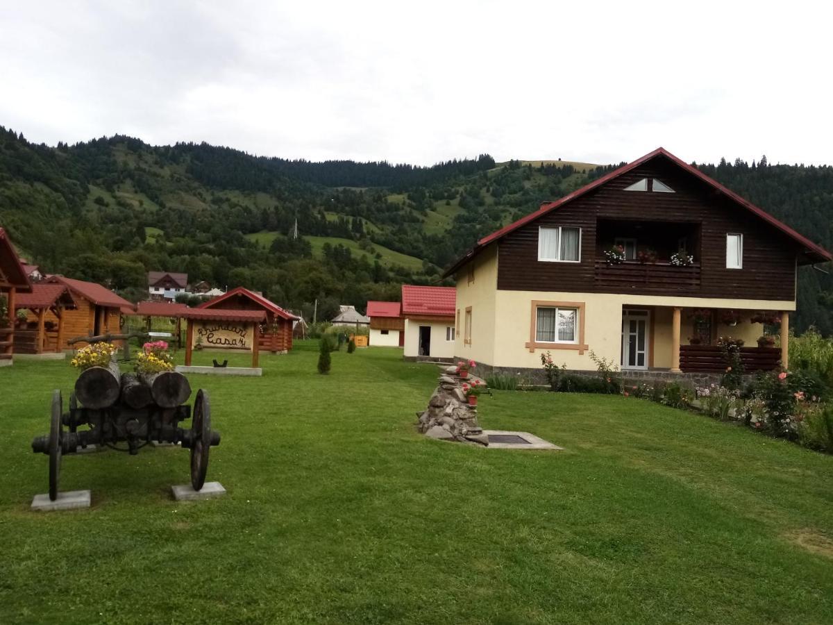 Hotel Casa Prundari Nicu Si Mirela Poiana Teiului Exterior foto