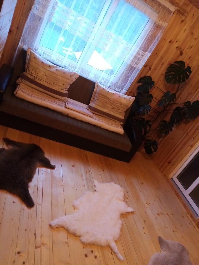Hotel Casa Prundari Nicu Si Mirela Poiana Teiului Habitación foto