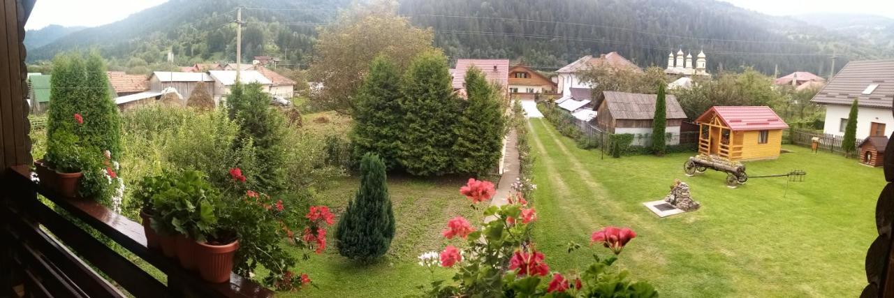 Hotel Casa Prundari Nicu Si Mirela Poiana Teiului Exterior foto