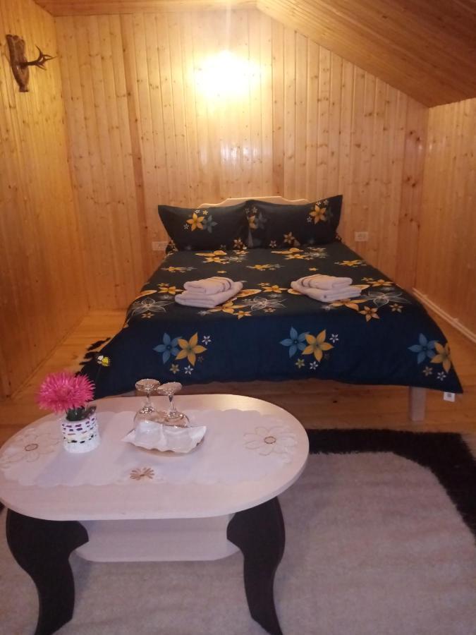 Hotel Casa Prundari Nicu Si Mirela Poiana Teiului Exterior foto
