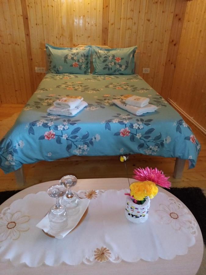 Hotel Casa Prundari Nicu Si Mirela Poiana Teiului Exterior foto