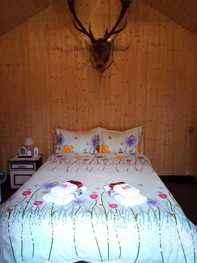 Hotel Casa Prundari Nicu Si Mirela Poiana Teiului Exterior foto