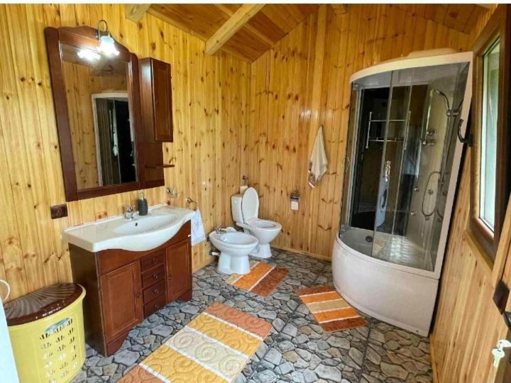 Hotel Casa Prundari Nicu Si Mirela Poiana Teiului Habitación foto