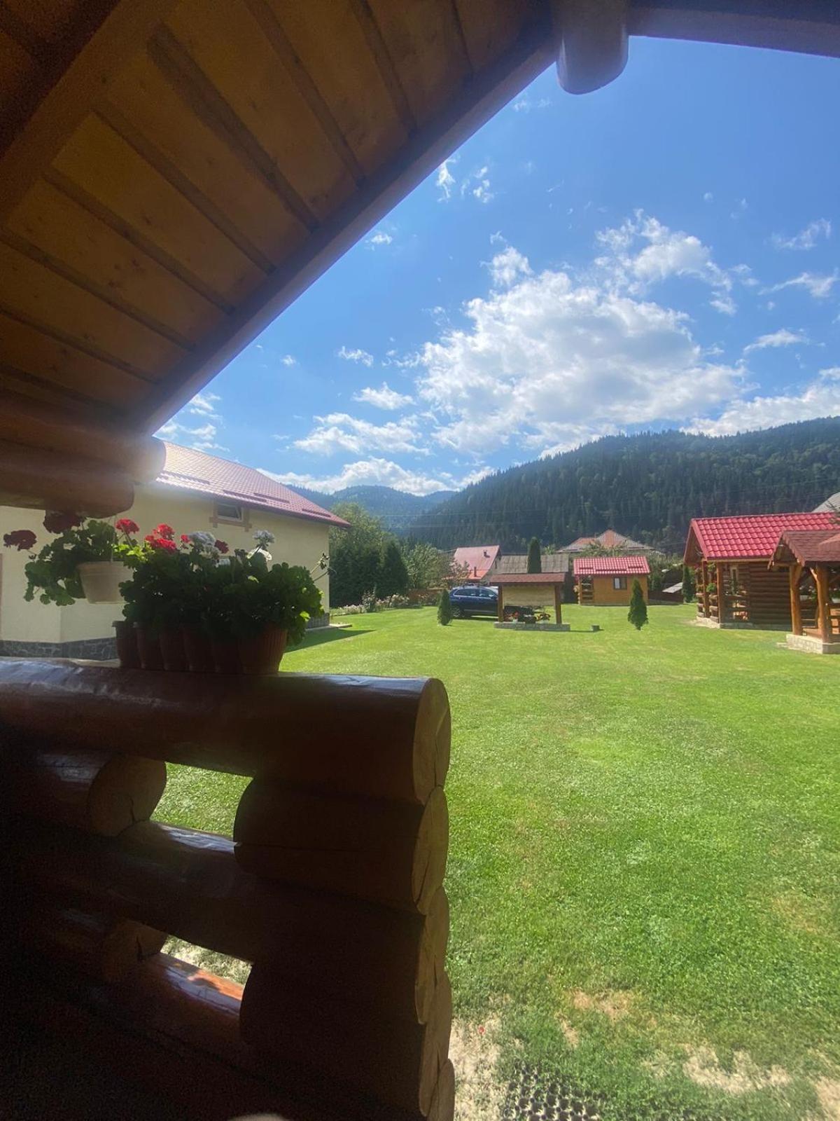 Hotel Casa Prundari Nicu Si Mirela Poiana Teiului Exterior foto